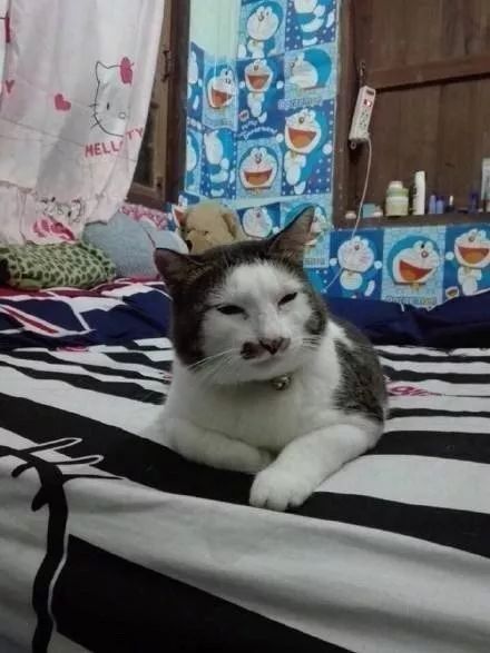 7933bd60e7124833a82f80c00408186a.jpeg