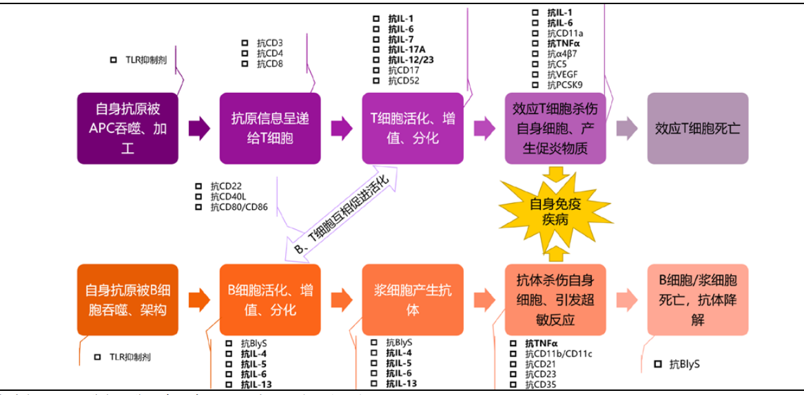 生物医药:国产抗体药物砥砺前行收获颇丰