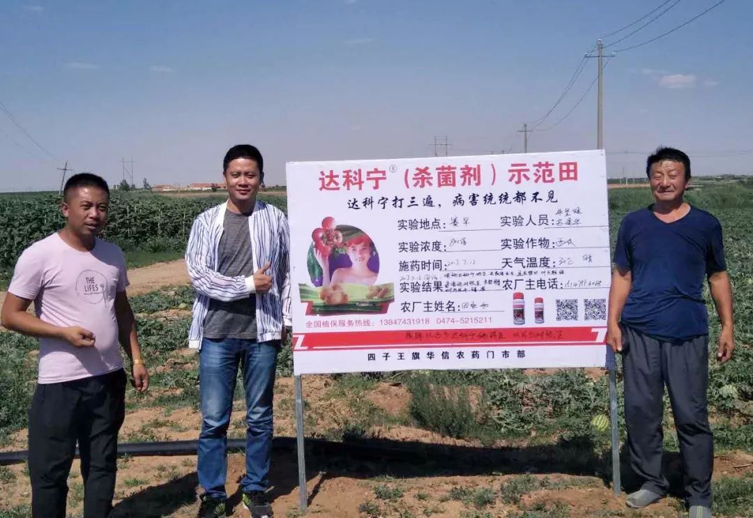 四子王旗苏总