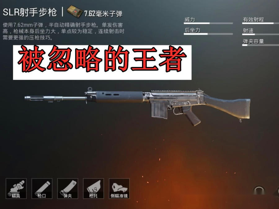 战神玩家分析最强射手步枪,mk14和mini都不及没人用的