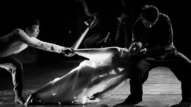 怎么才可以放慢动作 860168acd9fe4d4696a4c934ee9030d8.jpg