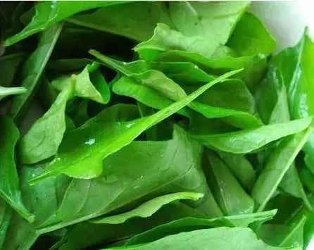 什么季节种生菜好 87eb8a56453644d2ba1de1449a37abe4.jpeg