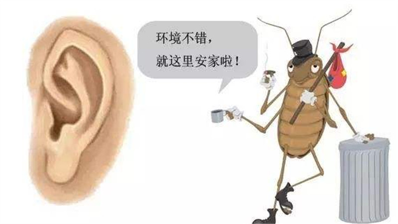                     原创            怎样知道宝宝耳道内有异物进入了？