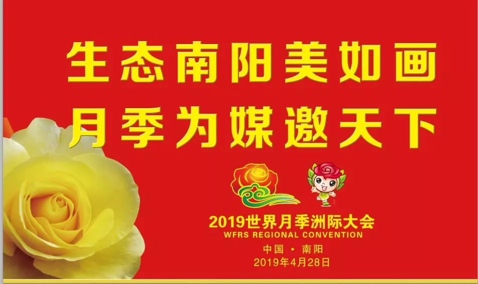 南阳经济总量2019_南阳经济贸易学校图片