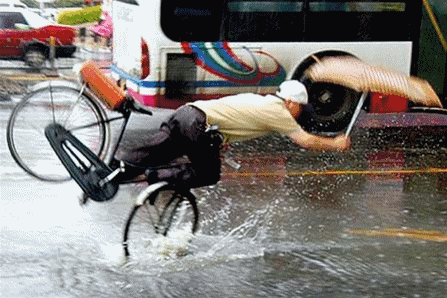 90172a17642f449998856f4af4026dd7.gif