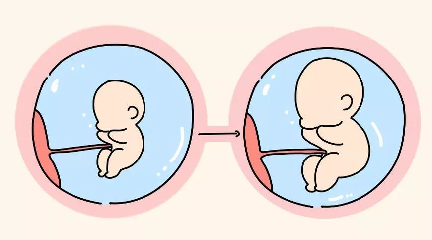 几个月胎动明显规律 9e61a16d8356467592202571333fbe00.jpeg