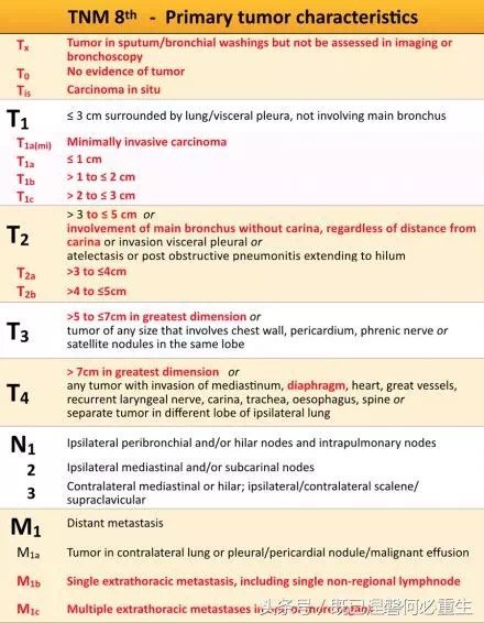 tnm-8