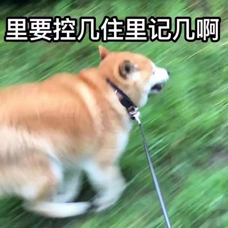 a070d9c4c260435797958c63c9b685fa.jpeg