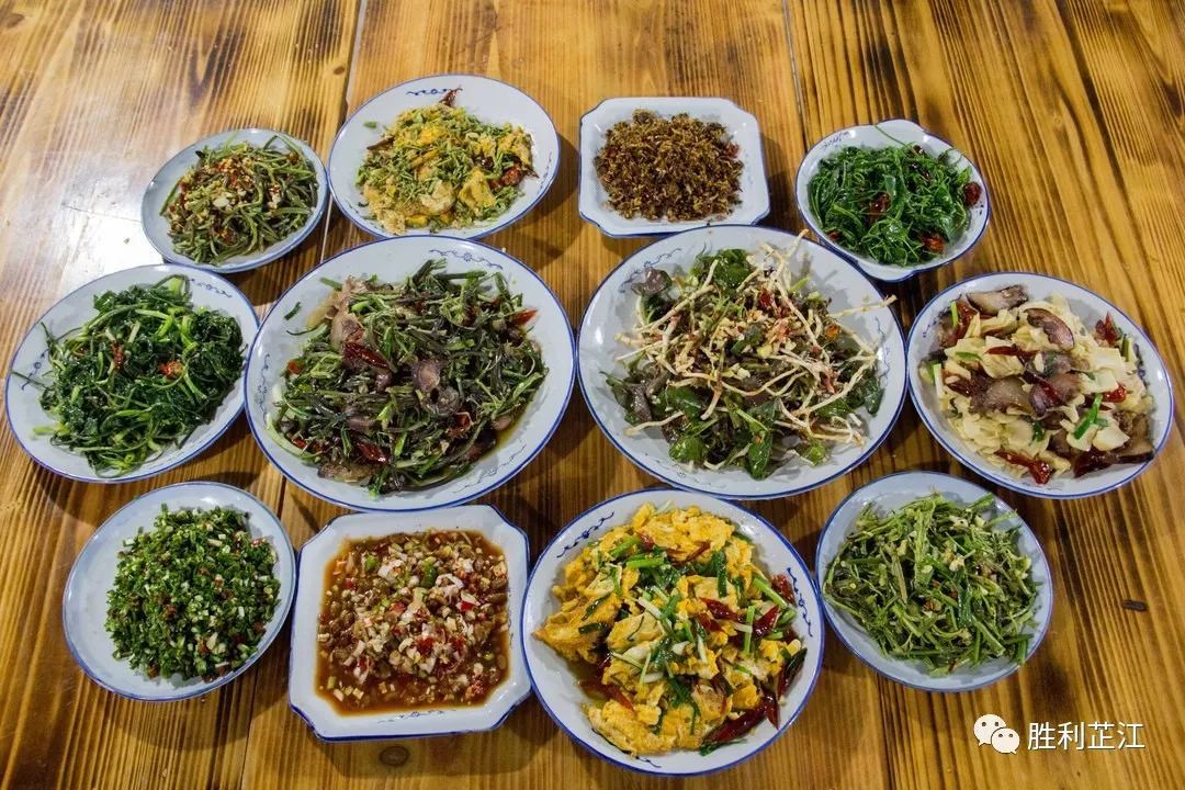 看着这一桌色香味俱全的野菜宴,你心动了吗?