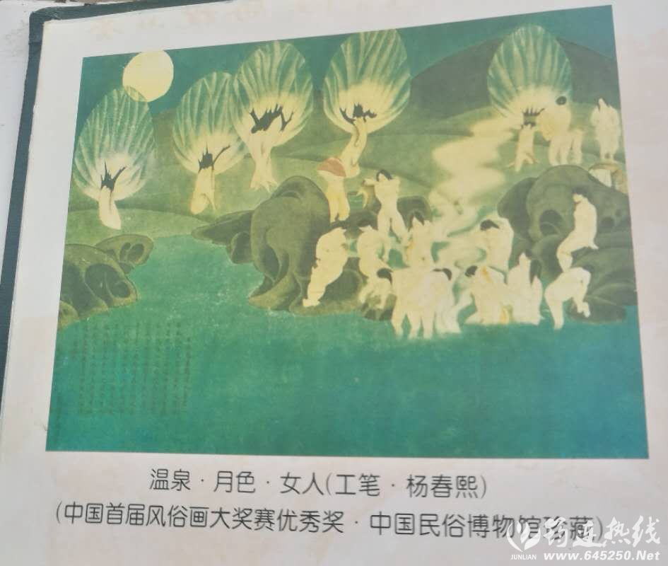 《温泉?月色?女人》——全国首届民俗画大奖赛获奖作品欣赏