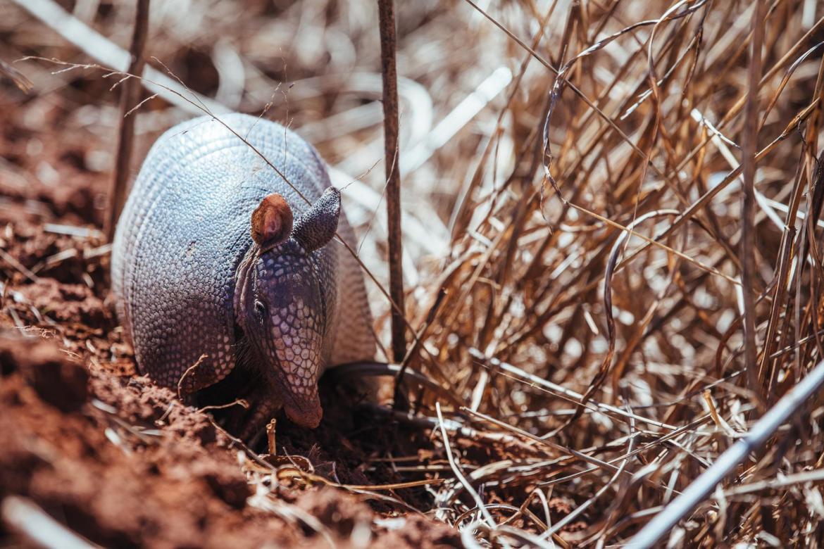 她一个单车旅行家，为什么要参加虐人的LR100