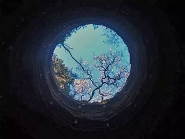 有一张图,绝对是在说你,你信吗? xbet官网手机版