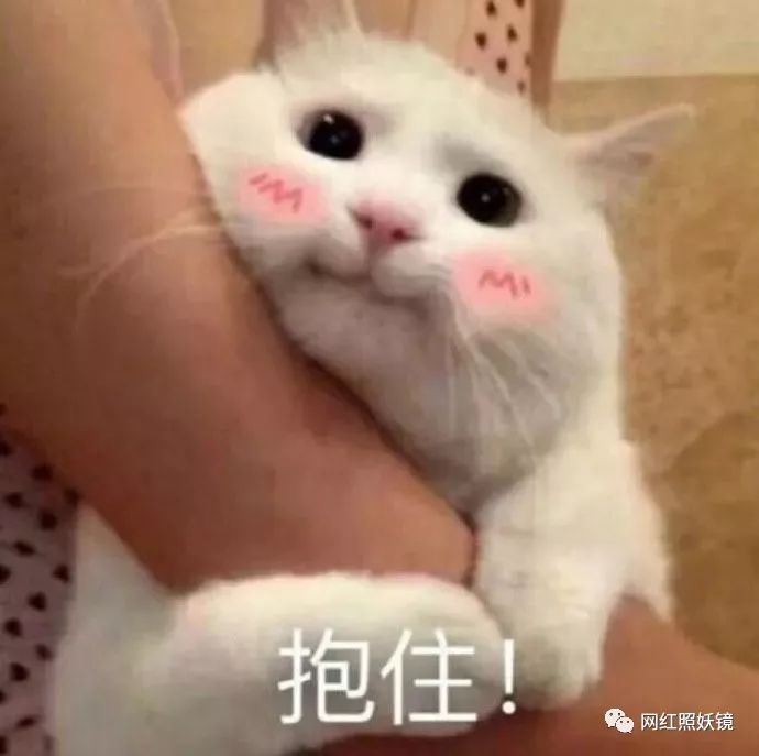 00后少女赚钱养全家惨成樊胜美?可她住千万豪宅、穿百万限量球鞋… 国产AV在线看的