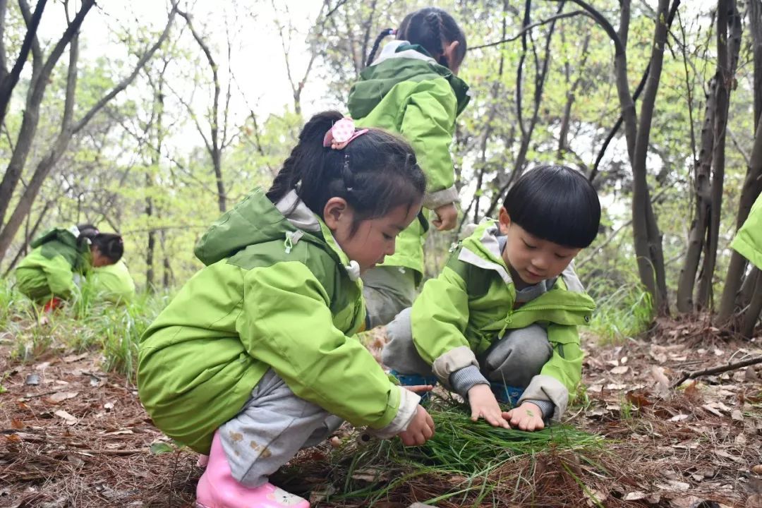 你是文字间跳跃的阳光五十六武汉溪谷森林自然教育森林日