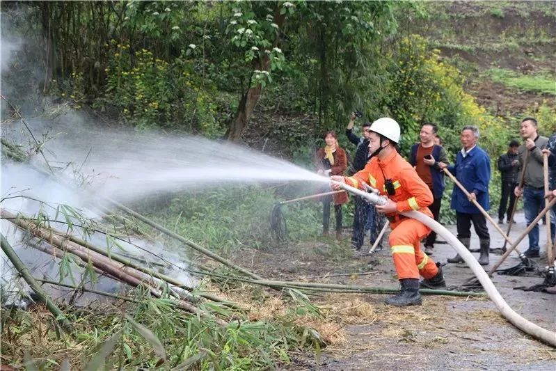 共乐镇人口_人口普查