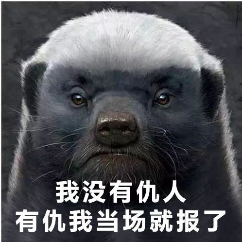 c8d01820198949faaa9cf68c5b87383d.jpeg