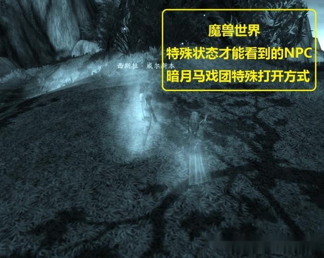 魔兽世界暗夜马戏团