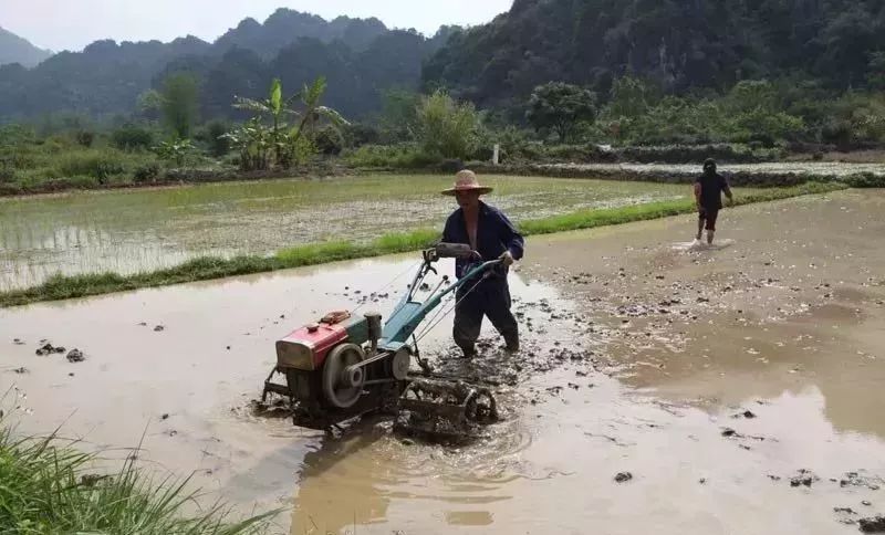 龙州县人口和多少村屯(3)