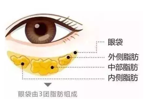 e99eb5db8cc24ee98cda0f810bfcfd0c.png