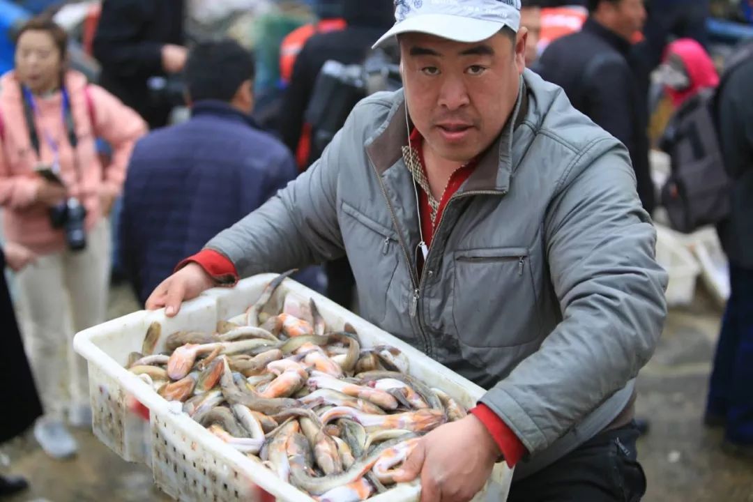 百舸争流,海鲜大集!2019中国北方(营口)鲅鱼圈开