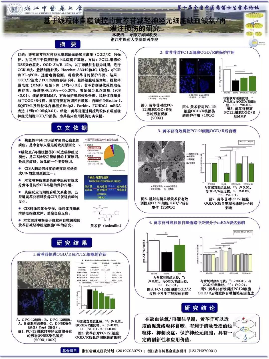 Round1 岐黄杯第十届全国中医药博士生优秀壁报奖投票开始啦 奖励