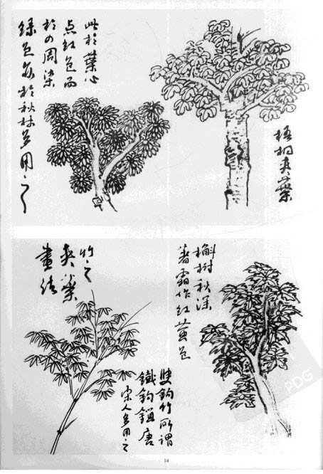 陆俨少教你如何画树？