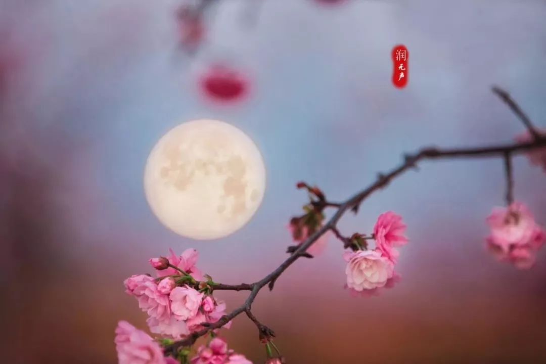 朗诵| 我想为月光下的中国写一首诗