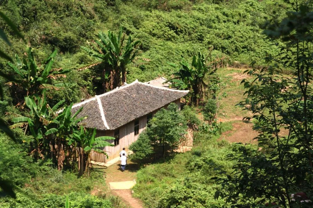 这里有藏在大山深处的神秘峡谷,和森林,溪流相伴, 宛若一个世外桃源.