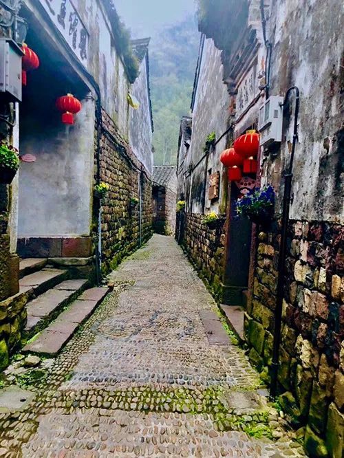 【风景线】4月20日-徒步蟹坑岭古道,赏四明山杖锡烂漫樱花,享古村慢