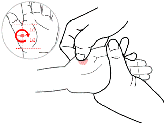 脾气虚怎么调理日常 f6f48e63bf7e4756bf9934b5d100681b.gif