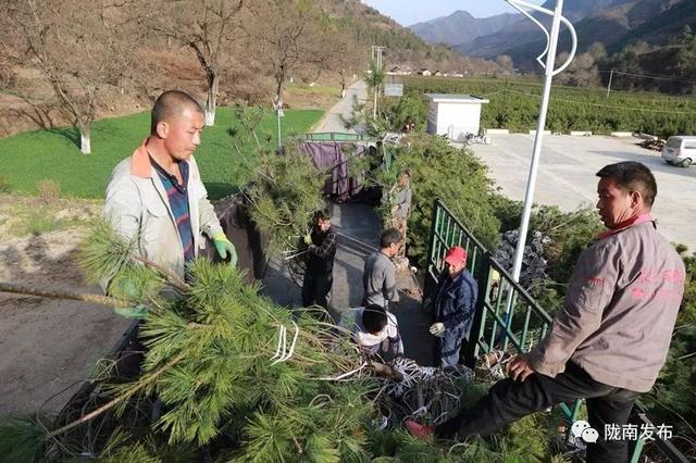 ta是徽县人的绿色银行