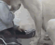 搞笑gif:第一次去女友家,请问遇到这种情况该怎么办?