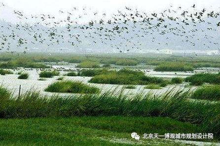 山水林田湖草