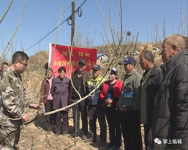 临城绿岭老总_临城绿岭核桃小镇