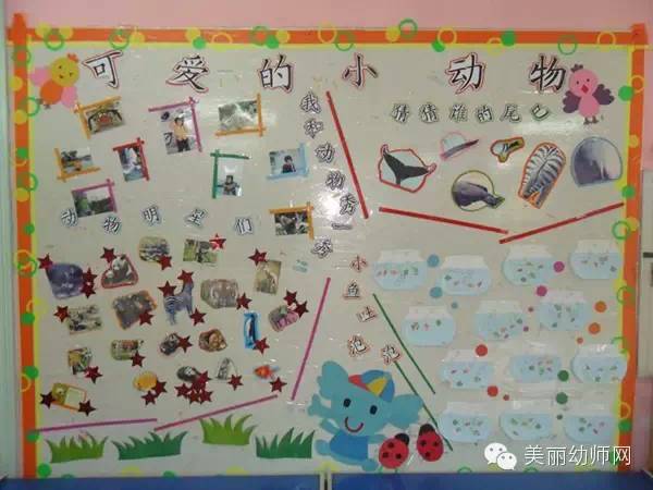 幼儿园主题墙设计动物世界幼师收藏