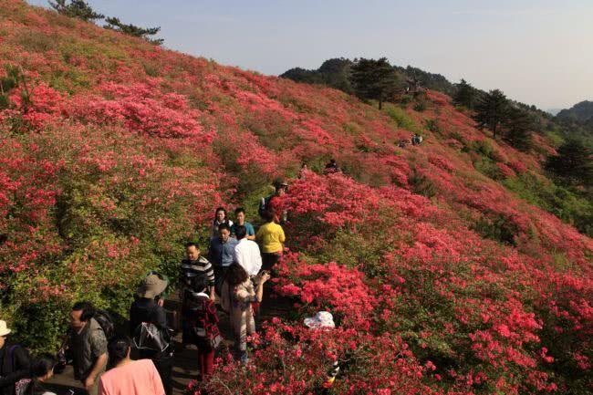 中國最懶得「宰客」的景區，門票65元玩好幾天，吃住80元足夠 旅遊 第6張