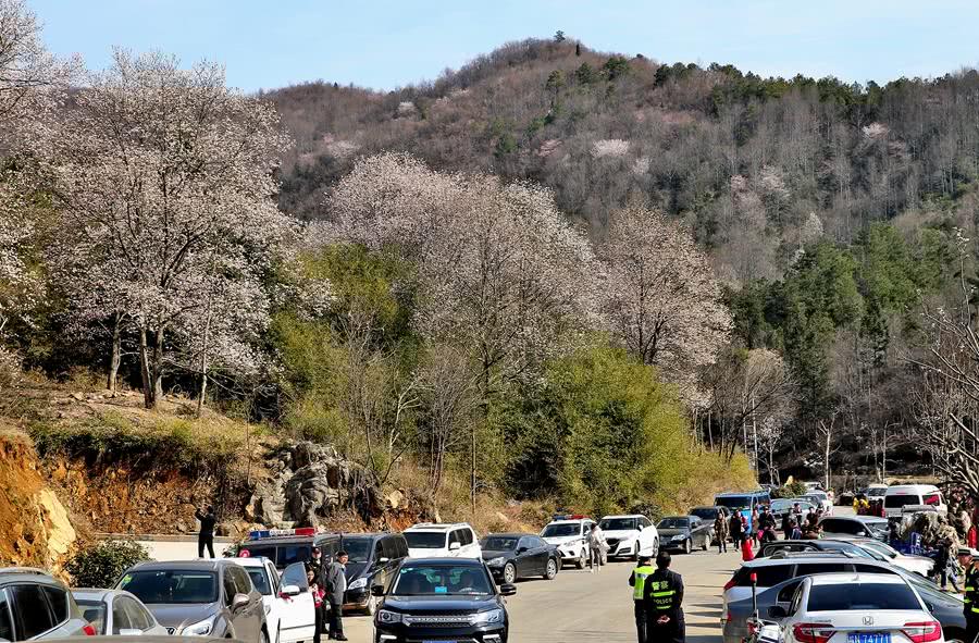 中國最懶得「宰客」的景區，門票65元玩好幾天，吃住80元足夠 旅遊 第4張