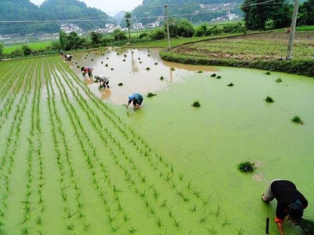 宁远县多少人口_宁远县地图(3)