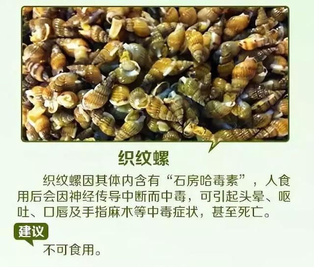 暂无特效药_食用