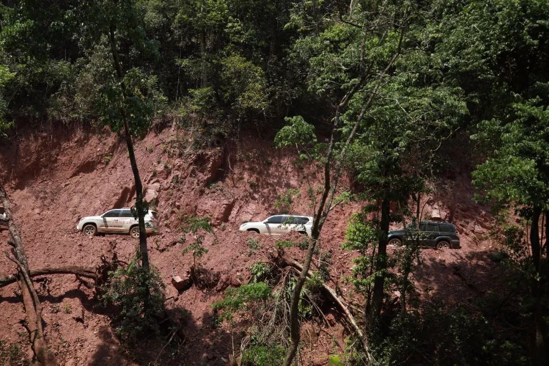 2019寻味问茶之旅凤凰山迷帝