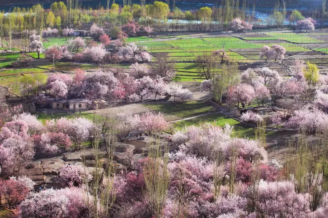 新疆旅游时间表,这么美的地方一定要去!_杏花村