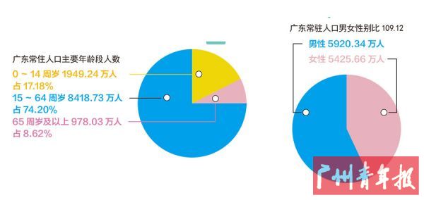 稳定人口特征_稳定型人口