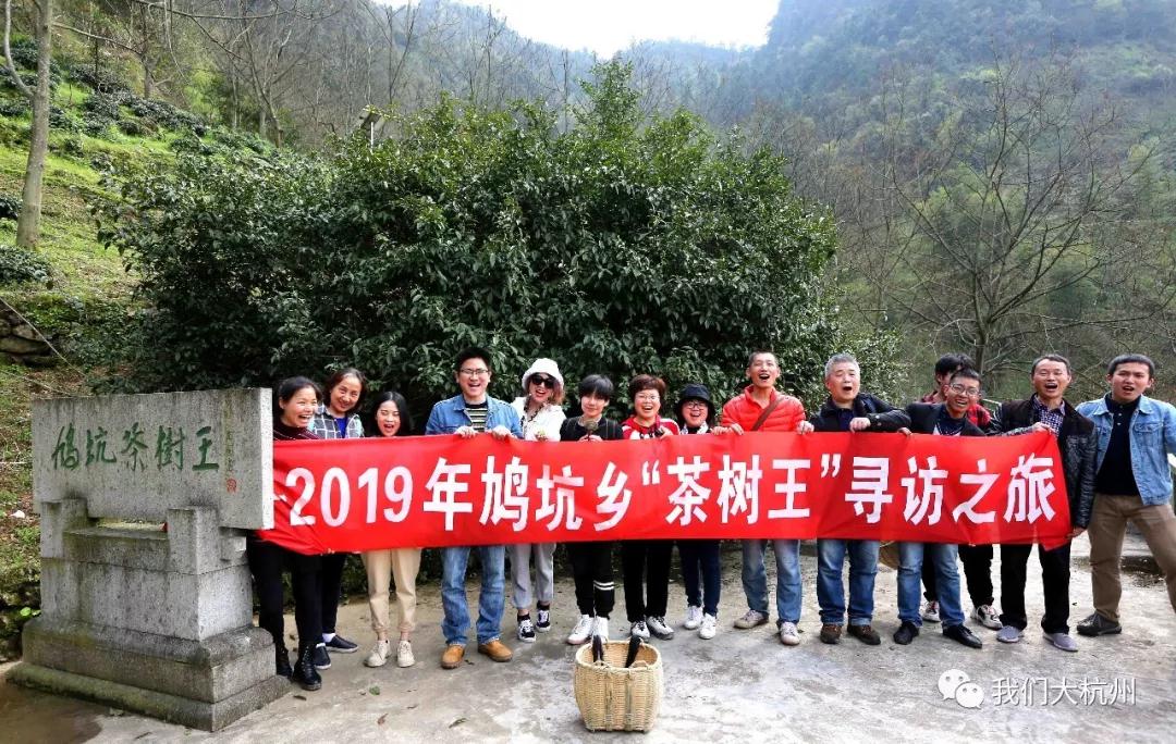 鸠坑毛尖茶林中菜竹笋溪边马兰头淳安鸠坑本周六约您杭州运河广场见