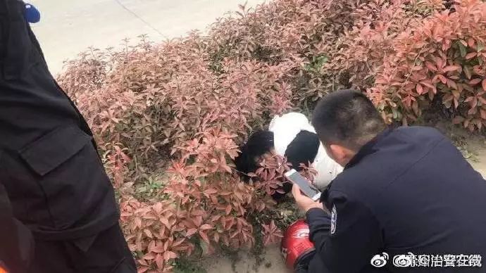 群众报警称草丛中发现熊猫,民警兴奋出警,结果