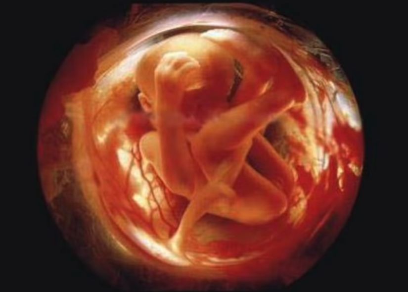 19 到了第20周 胎儿差不多有20公分长 20 怀孕24周 21 怀孕26周 宝宝
