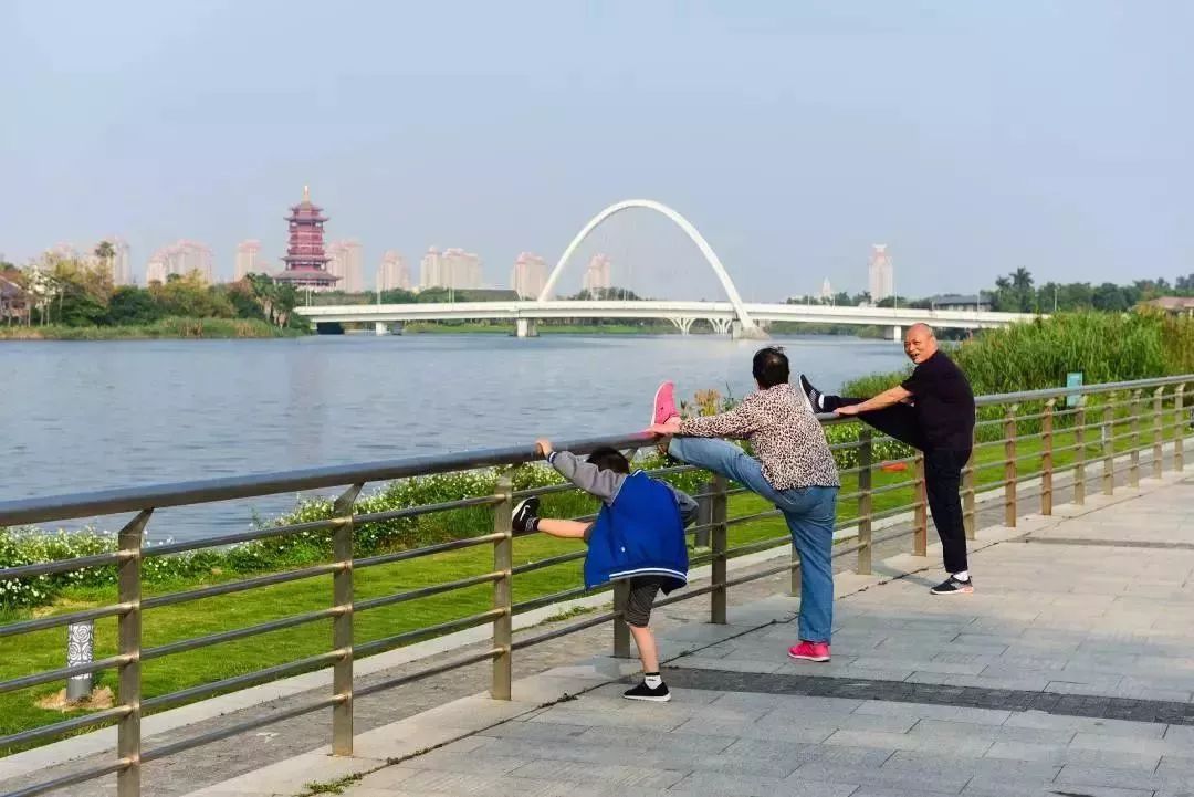 太棒了环杏林湾公园颜值再升级最美水上自行车道新增夜景工程