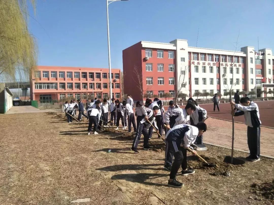 沈阳和平一校沈阳市博才初级中学这次沈阳市中小学"我与小树共成长