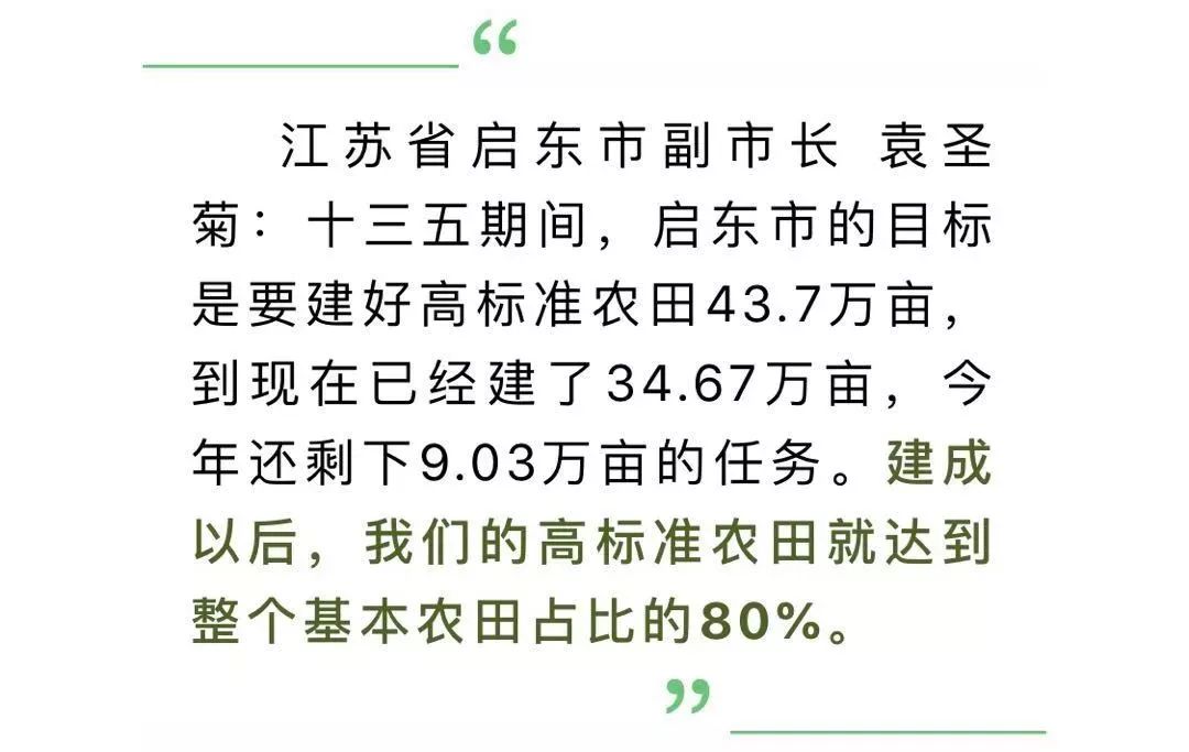 江苏省启东市副市长 袁圣菊▲机耕路施工现场▲吕四港镇副镇长 朱