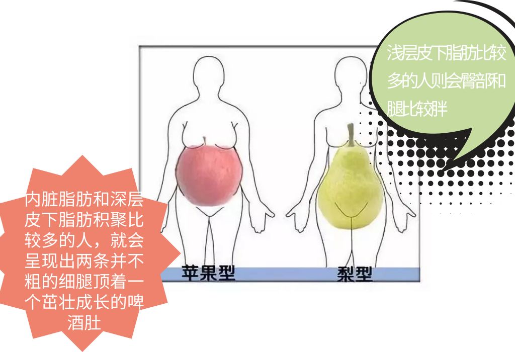 在人体内有三种类型的脂肪:分别是内脏脂肪,深层皮下脂肪,浅层皮下