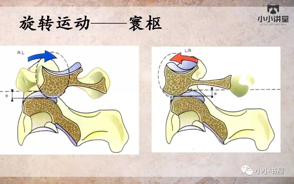 小小讲堂——寰枢关节半脱位的诊断(二)